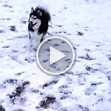 2012-Chloe-in-the-snow