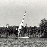 1985-Windsurfen
