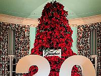 The Greenbrier, West Virginia New  Year 2021 (20)