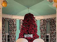 The Greenbrier, West Virginia New  Year 2021 (6)