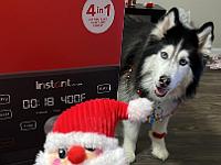 2021-12-December-Christmas-in-GA (19)