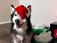 2021-12-December-Christmas-in-GA (2)