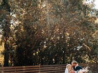 2024-10- October-Casi-Wedding (217)