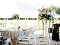 2024-10- October-Casi-Wedding (236)