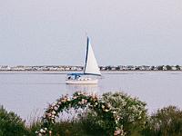 2024-10- October-Casi-Wedding (298)