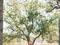 2024-10- October-Casi-Wedding (303)