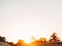 2024-10- October-Casi-Wedding (424)