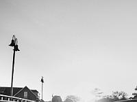 2024-10- October-Casi-Wedding (433)