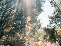 2024-10- October-Casi-Wedding (46)