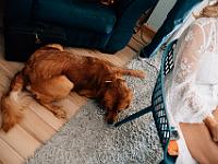 2024-10- October-Casi-Wedding (55)