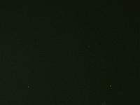 2024-10- October-Casi-Wedding (616)