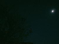 2024-10- October-Casi-Wedding (706)