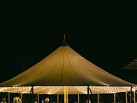 2024-10- October-Casi-Wedding (708)