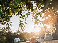 2024-10- October-Casi-Wedding (888)