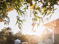 2024-10- October-Casi-Wedding (889)