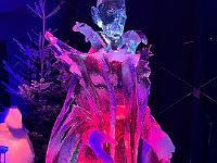 2023-12-December (20)