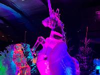 2023-12-December (21)