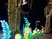 2023-12-December (22)