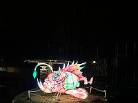 2023-12-December (23)