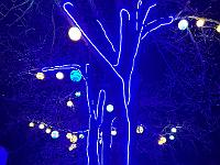 2023-12-December (28)