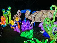 2023-12-December (29)