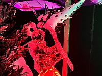 2023-12-December (3)