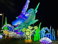 2023-12-December (31)