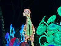 2023-12-December (32)