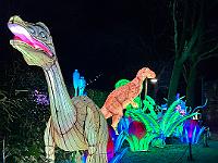 2023-12-December (33)