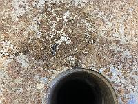 2023-01-January- Italy-Extral (42)